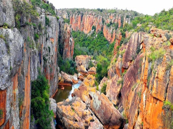 20220405_081548-thumbnail-600x600-95