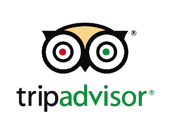 png-transparent-owl-logo-tripadvisor-soweto-text-line-beak-area-removebg-preview