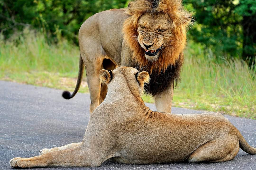 FB_IMG_1709874592709-2