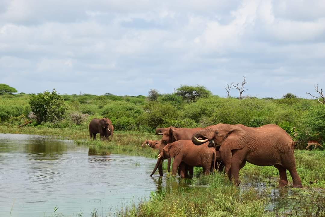 FB_IMG_1712129799522